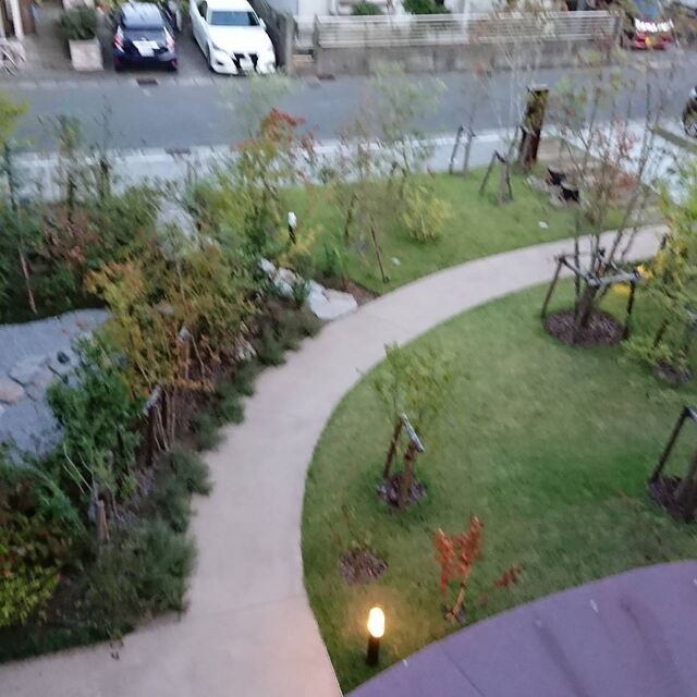 庭
